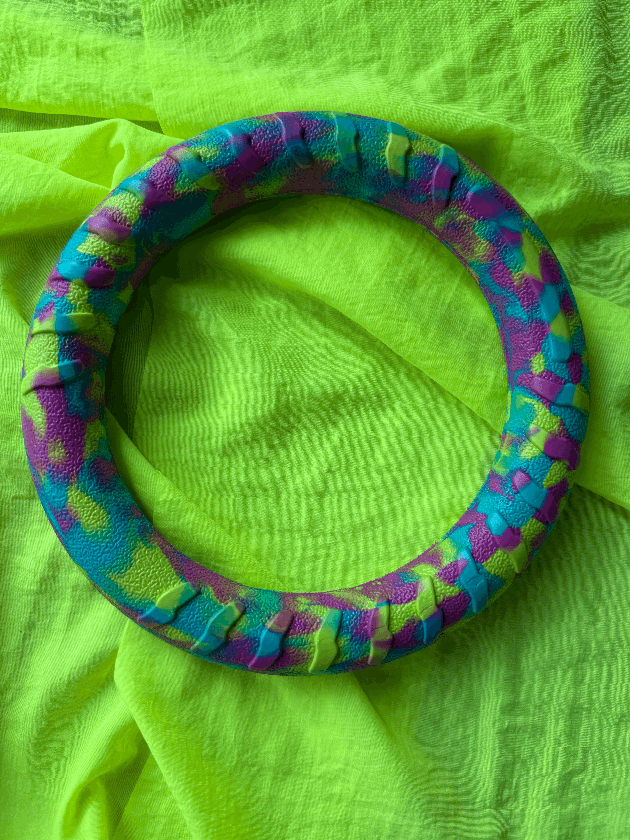 30cm Ring Toy