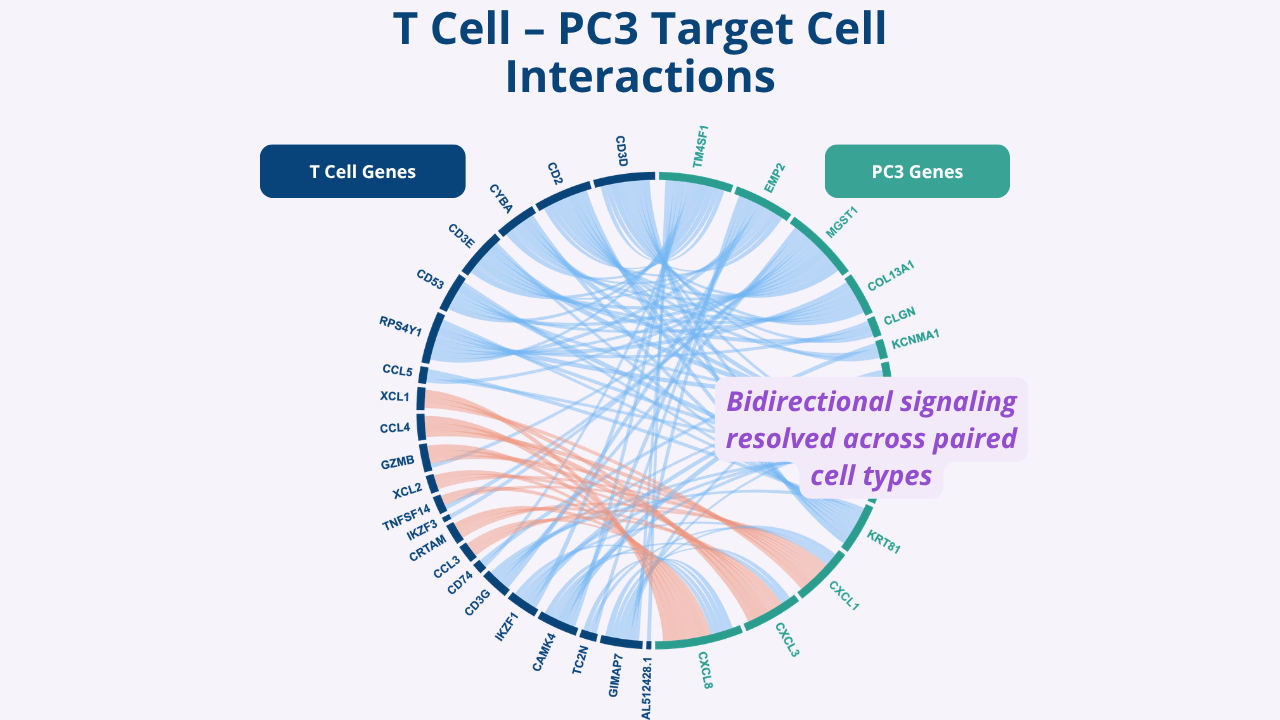 A circular chord diagram titled T Cell - PC3 Target Cell Interactions, showing bidirectional signaling links resolved across paired single cell types.