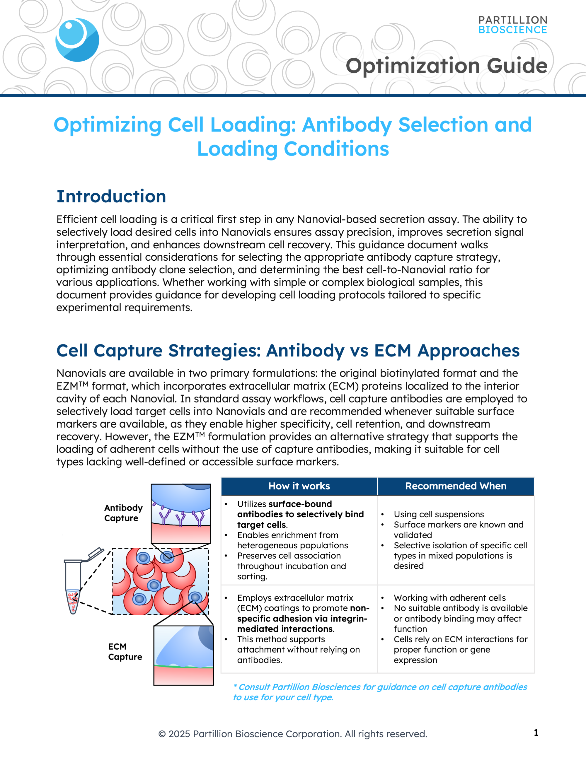 Optimizing Cell Loading: Antibody Selection and Loading Conditions