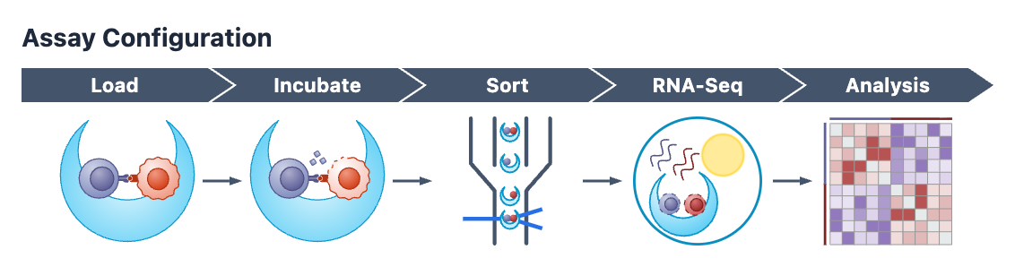 Diagram of an assay process showing five steps: Load, Incubate, Sort, RNA-Seq, and Analysis, with visual representations of each step.