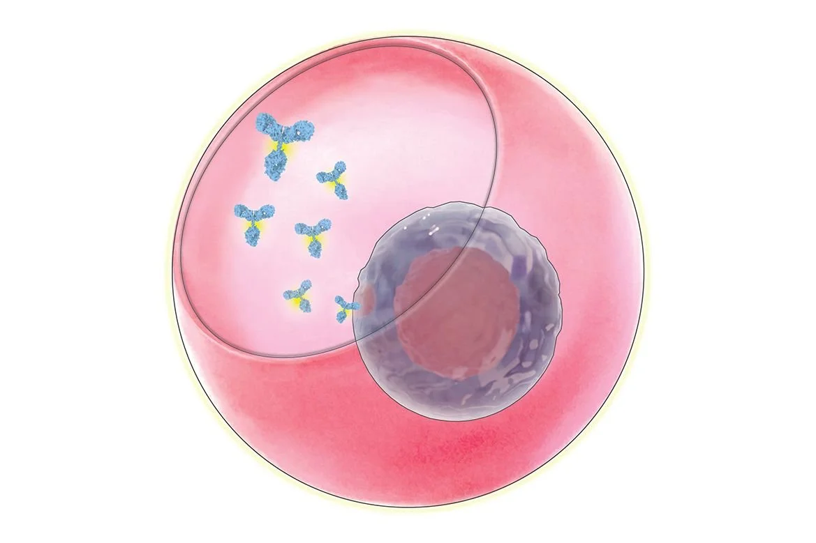 News Update: Breakthrough Research in Immunoglobulin G (IgG) Production Featured in Nature Communications