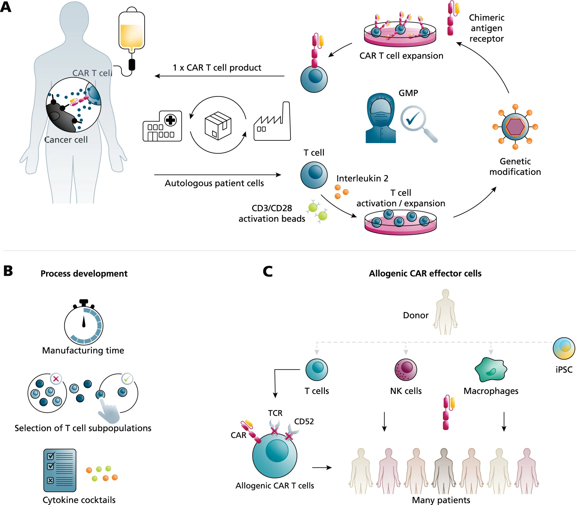 CAR-T process