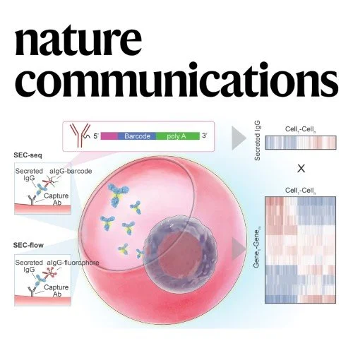 SEC-seq: Association of molecular signatures with antibody secretion in thousands of single human plasma cells