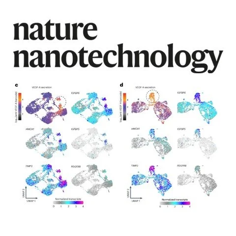 Associating growth factor secretions and transcriptomes of single cells in nanovials using SEC-seq