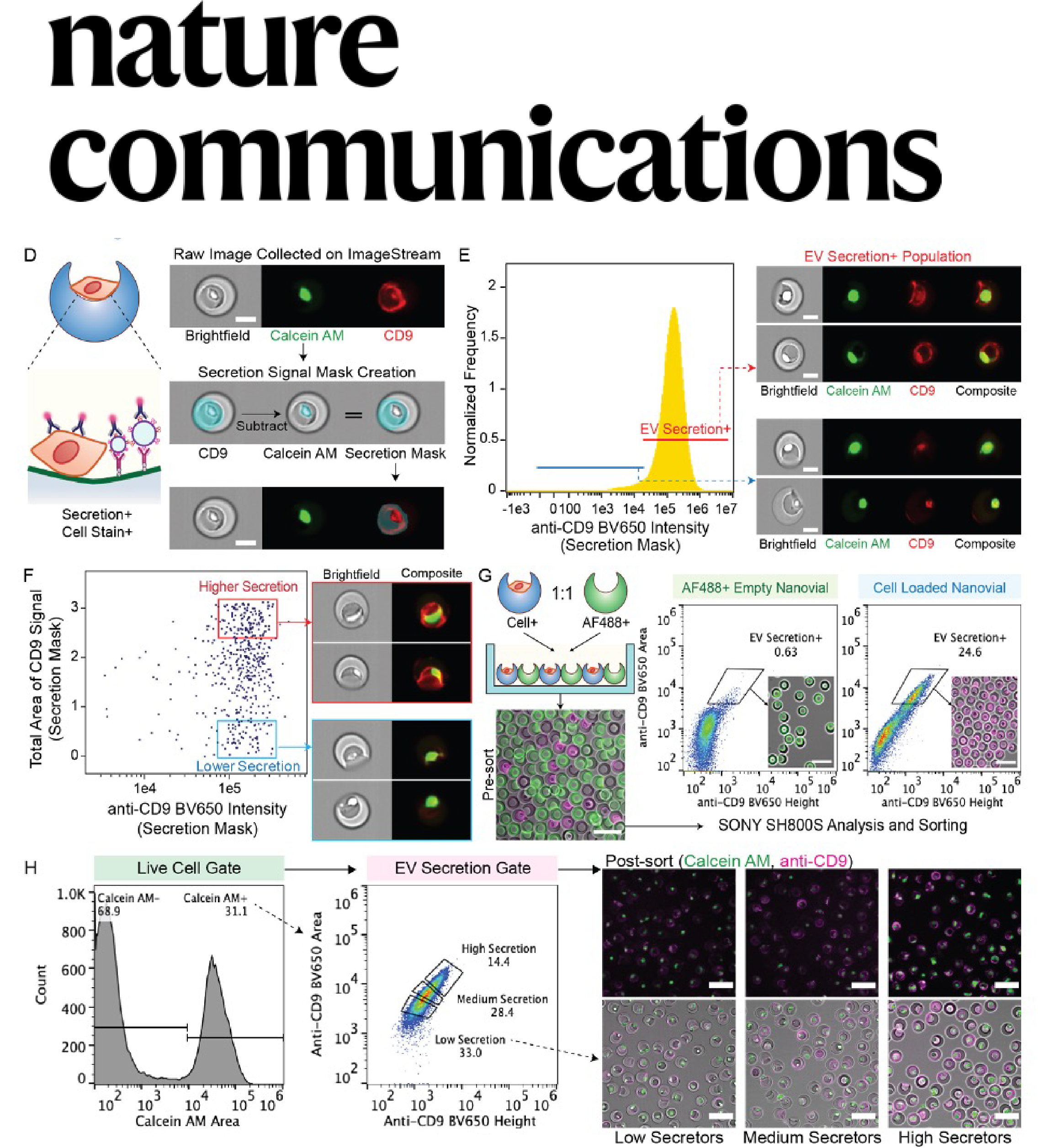 Optimizing Cell Therapy by Sorting Cells with High Extracellular Vesicle Secretion