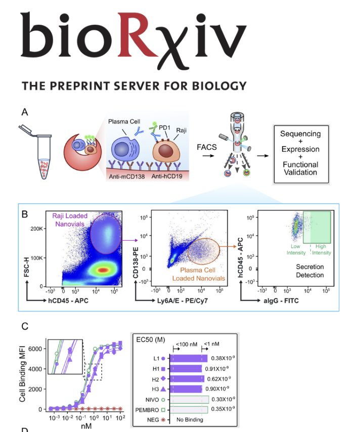 Function-first Discovery of High Affinity Monoclonal Antibodies Using Nanovial-Based Plasma B Cell Screening