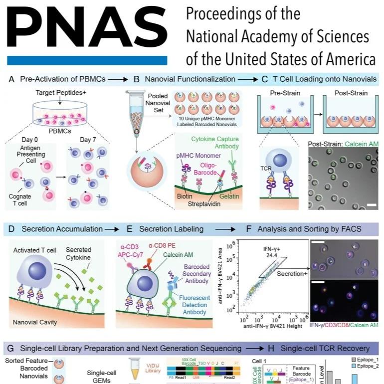 Defining T cell receptor repertoires using nanovial-based binding and functional screening