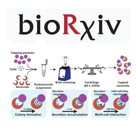 Sealable capped nanovials for high-throughput screening of cell growth and function