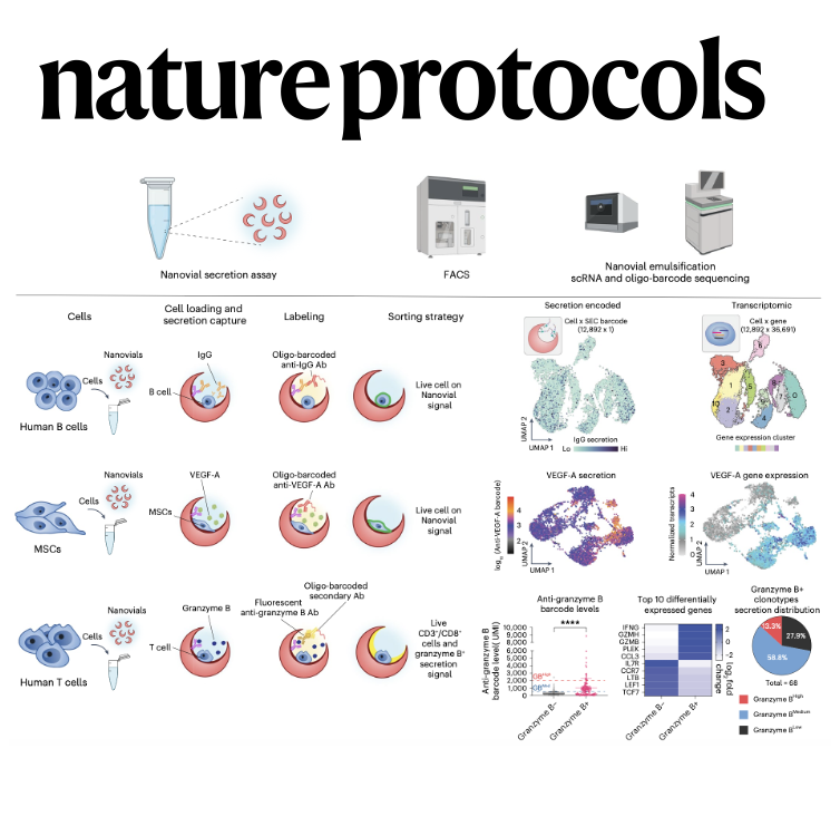 Linking Single-Cell Transcriptomes with Secretion Using SEC-seq