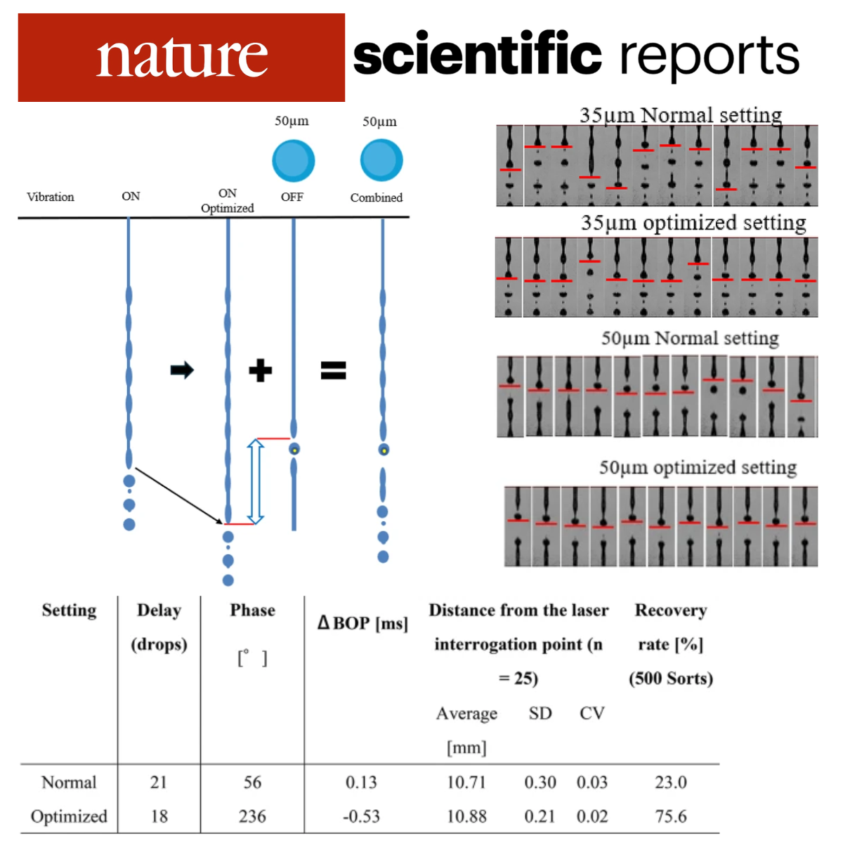 Enhancing large particle recovery in high-throughput functional cell sorting through ΔBOP optimization