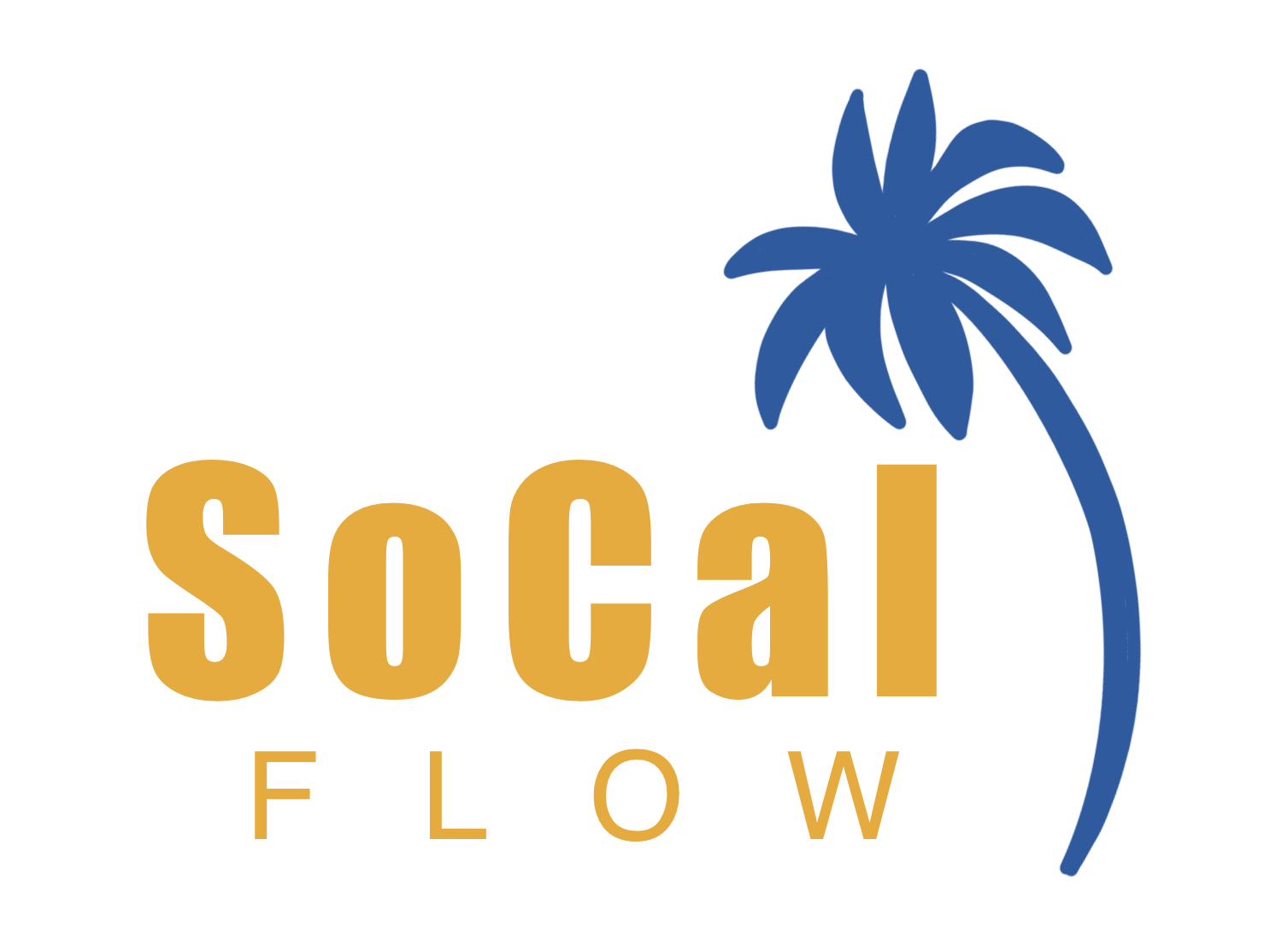 SoCal Flow SUMMIT 2025