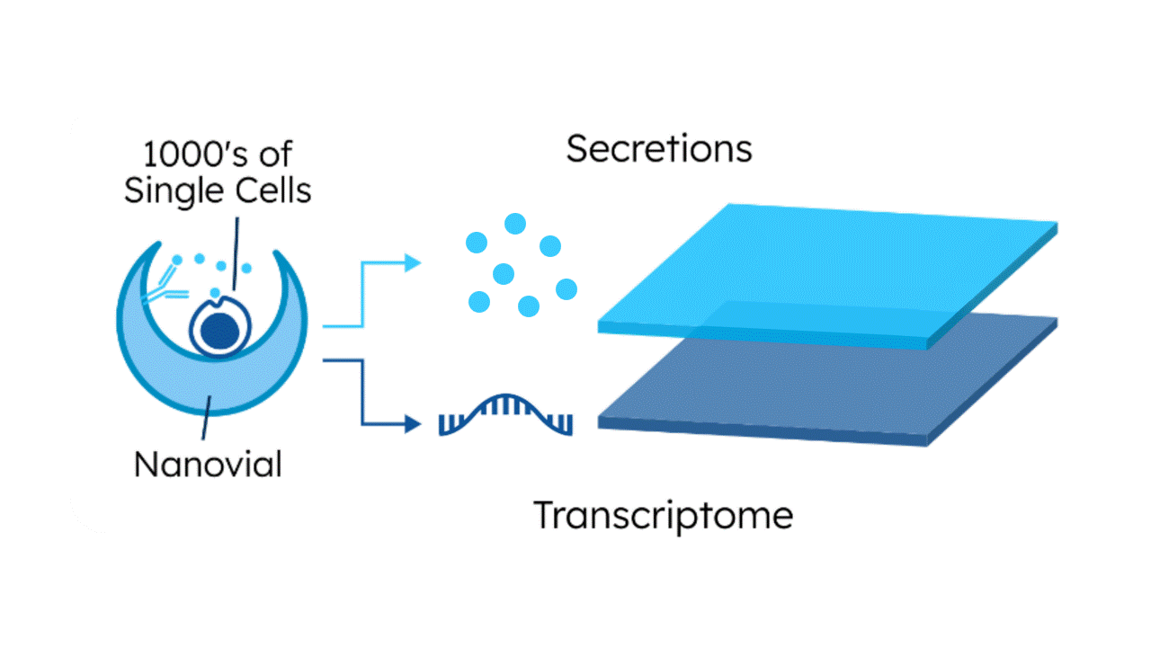 Diagram showing how single cells from a nanovial produce secretions and transcripts, which are captured on separate layers labeled 'Secretions' and 'Transcriptome'.