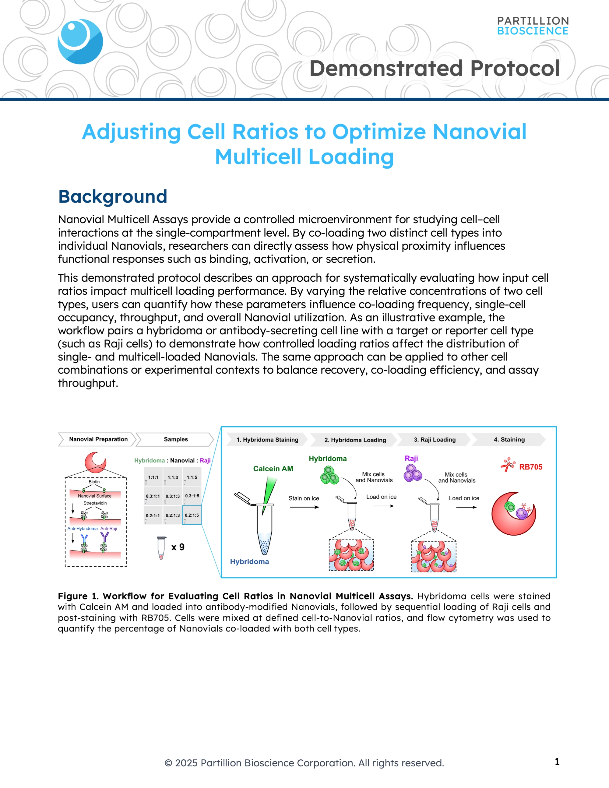 NEW! Adjusting Cell Ratios to Optimize Nanovial Multicell Loading