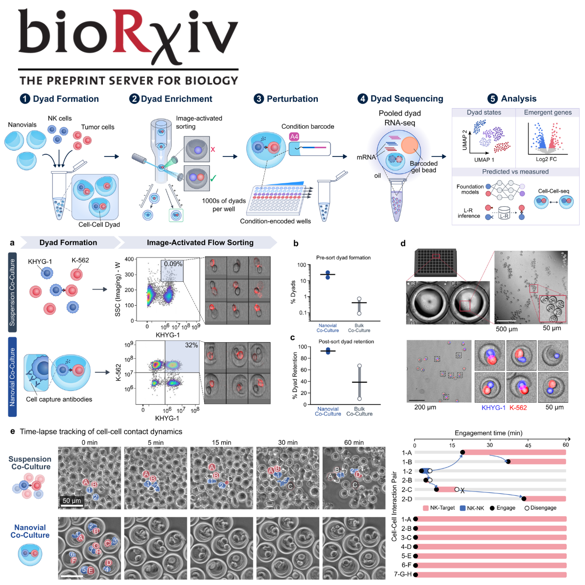 Cell-Cell-Seq resolves contact-associated NK cell activation in defined tumor cell dyads