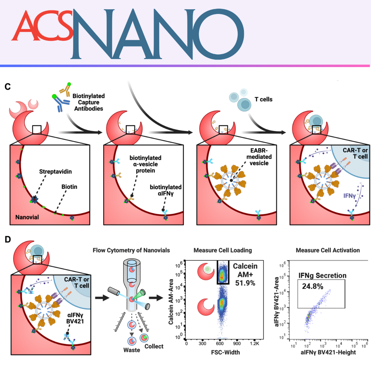Functionalizing Hydrogel Nanovials with Vesicles Mimicking Antigen-Presenting Vesicles and Cancer Exosomes Improves T Cell Capture and Activation.