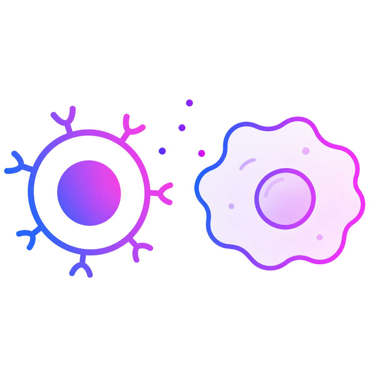 Diagram of one cell secreting cytokines and signaling factors toward a neighboring target cell to represent cellular communication.