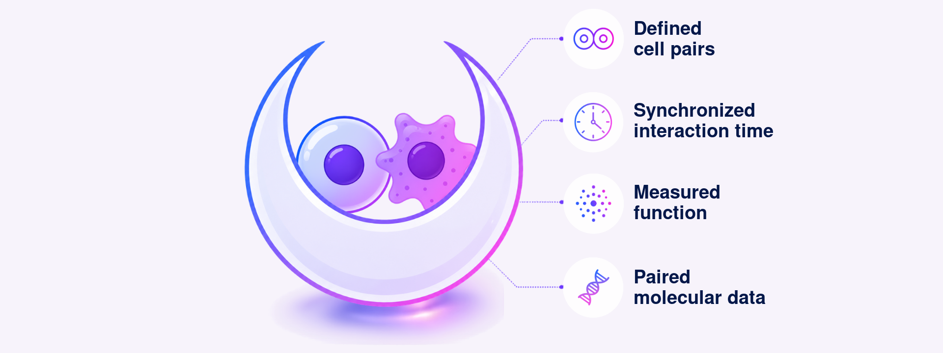 Nanovial containing defined cell partners with synchronized interaction timing, measured function, and paired molecular data.