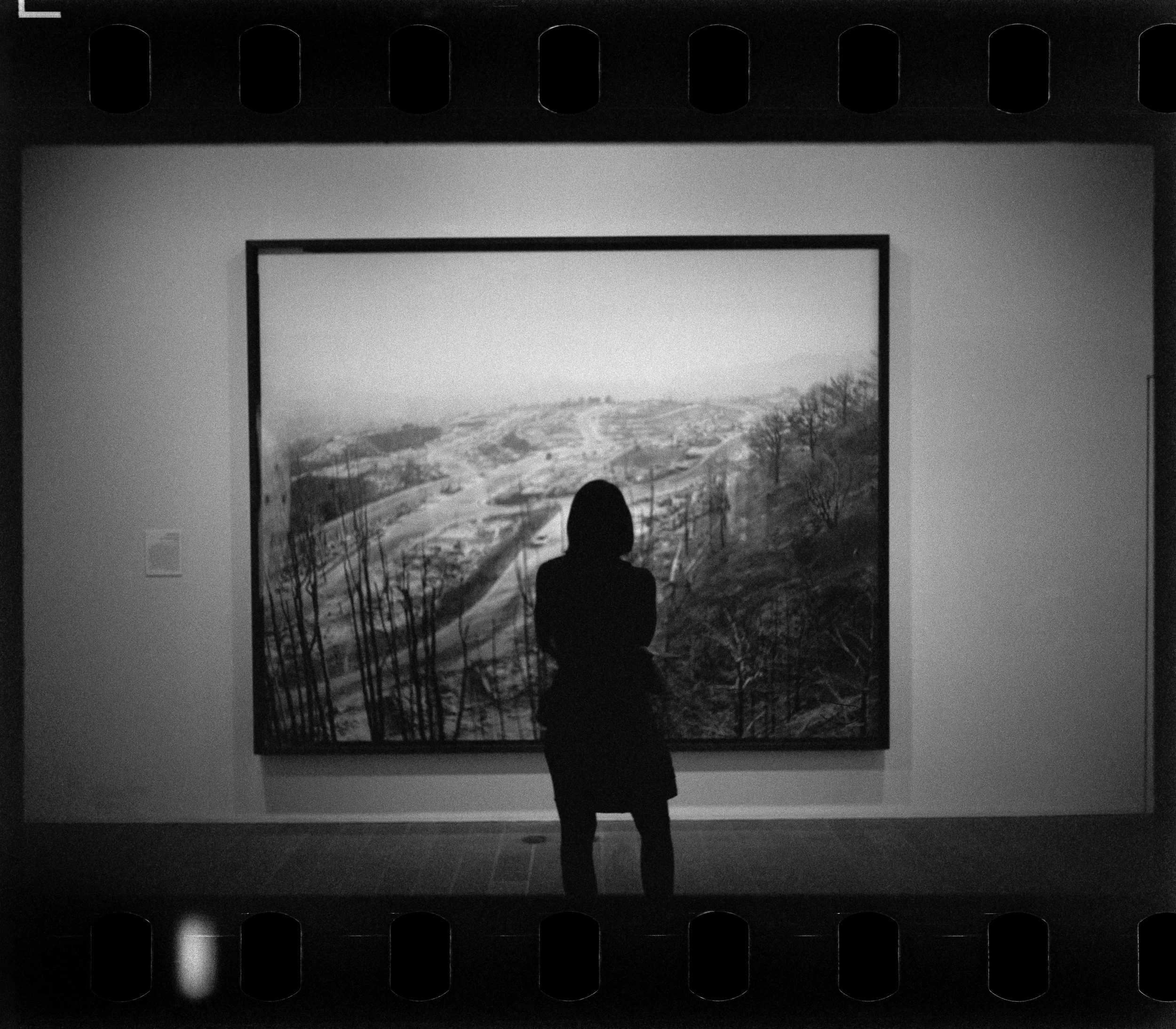 A person stands in front of a large photographic artwork depicting a winding hill landscape with trees. The person appears as a silhouette, with the photograph viewed through a window frame or room opening.