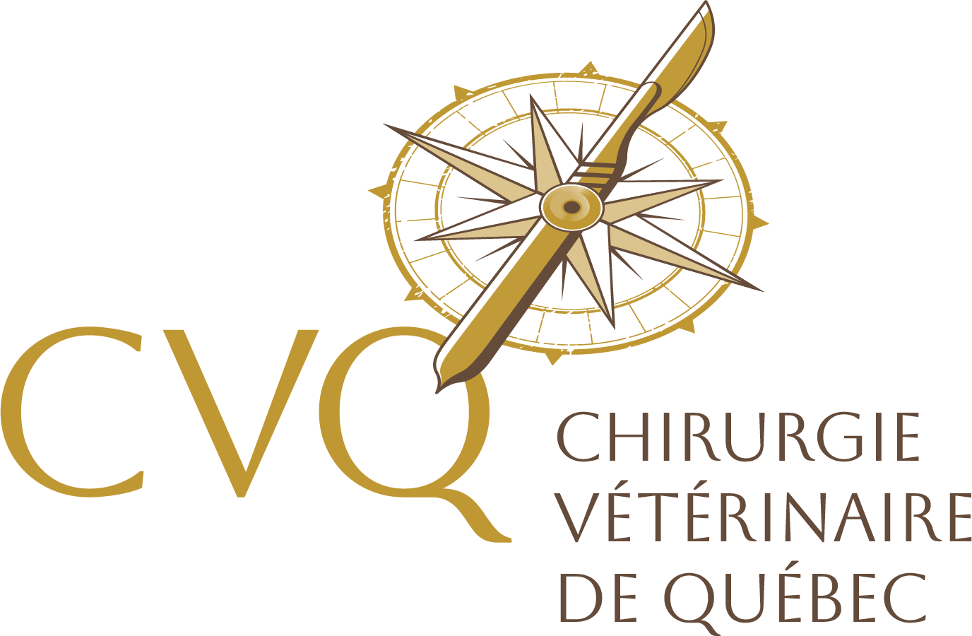 Chirurgie vétérinaire de Québec