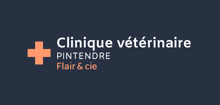 Logo de la clinique vétérinaire Pintendre avec une croix orange et le texte 'Clinique vétérinaire Pintendre Flair & cie' sur un fond foncé.