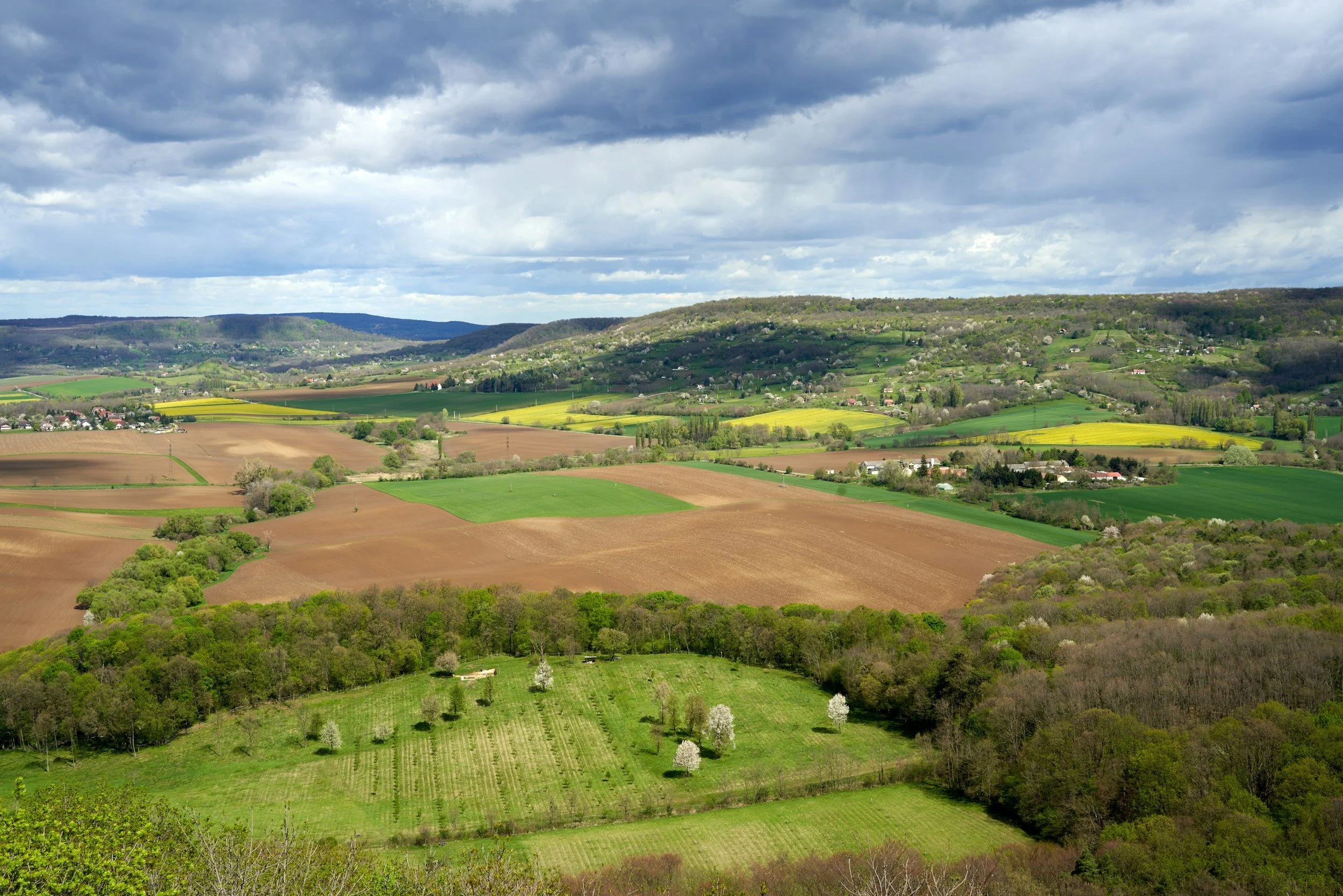 Why Rural Communities Are Being Left Behind in Parkinson's Care — And What We're Doing About It
