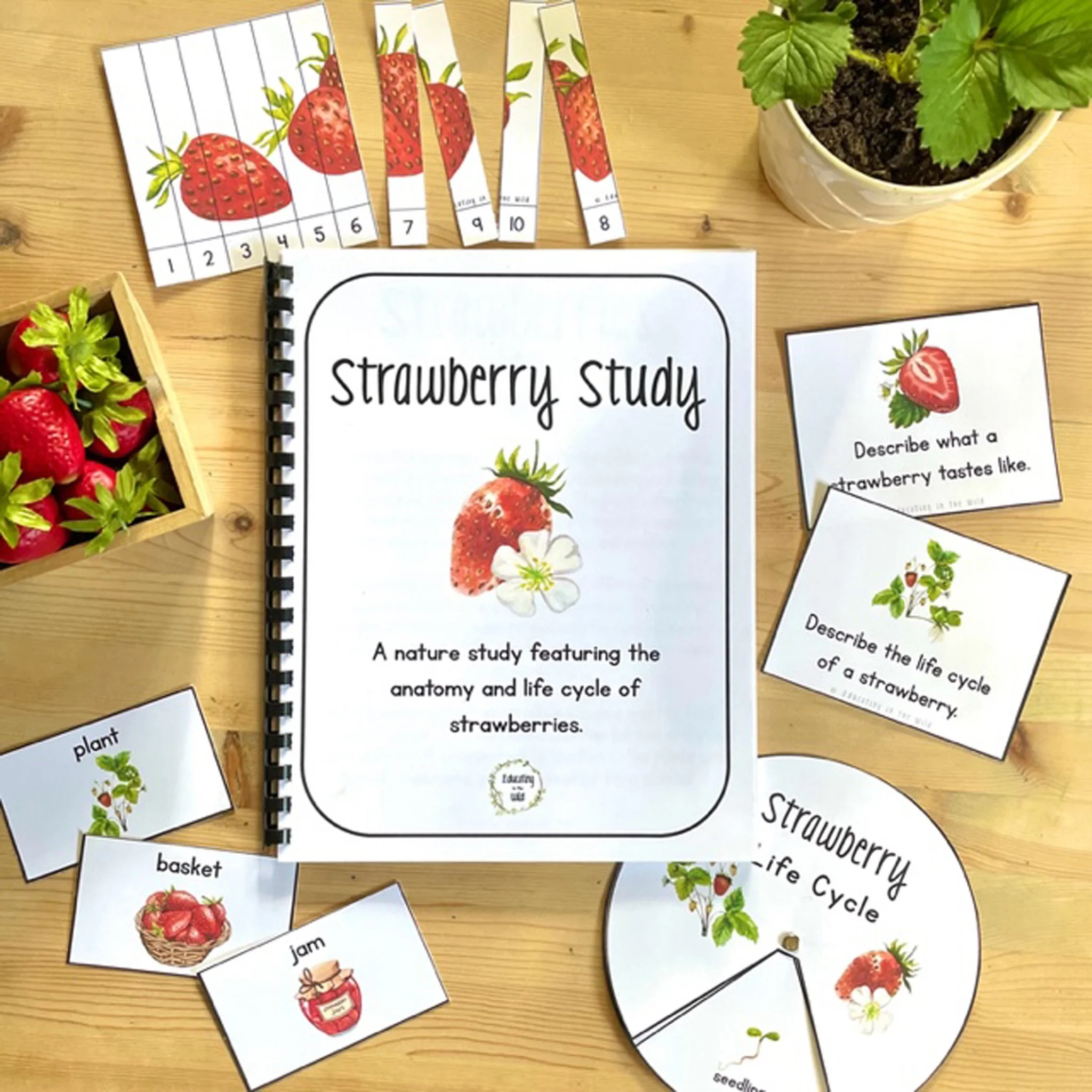 Strawberry Unit Study