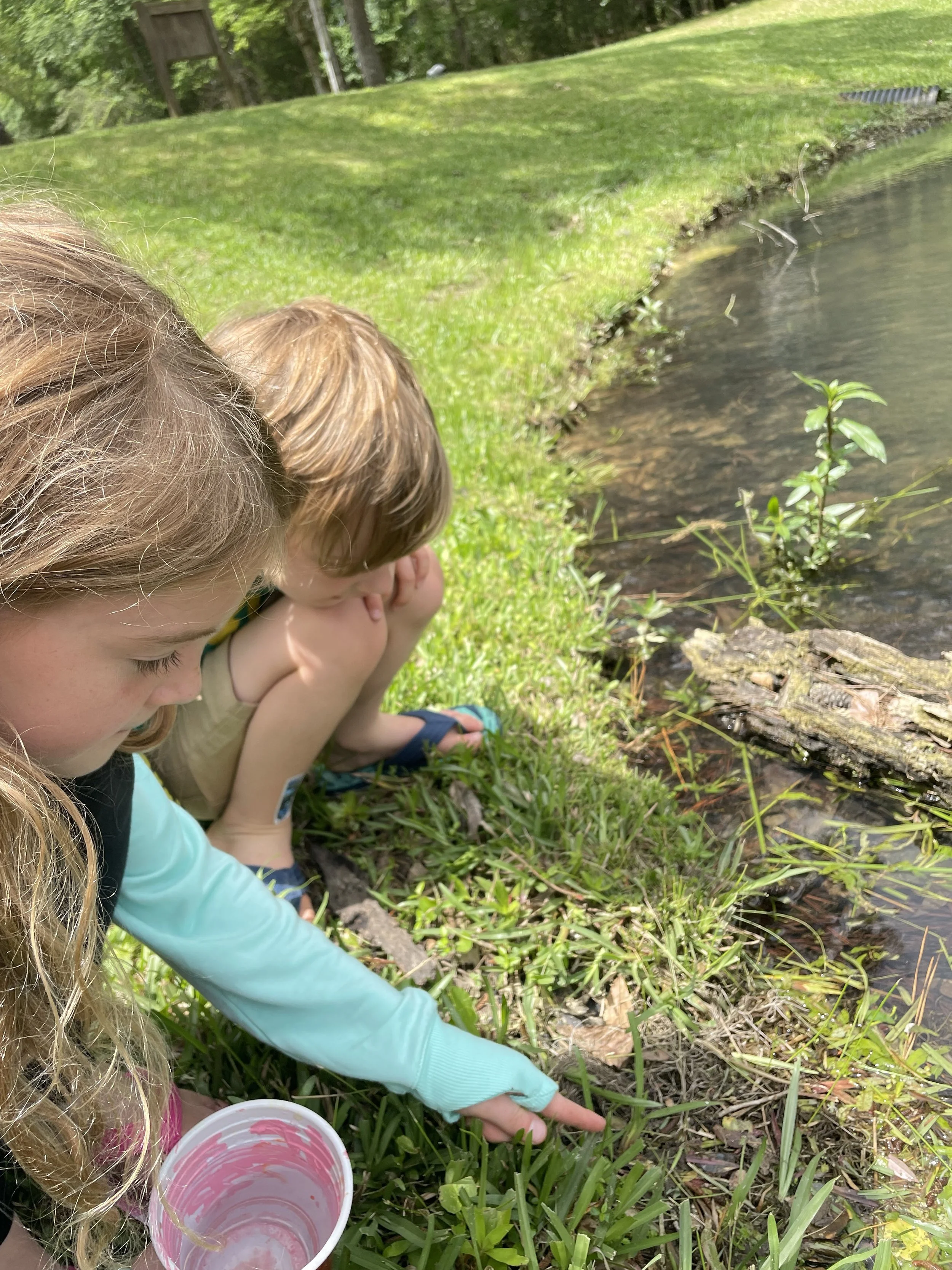 Two children kneel by the edge of a pond, pointing at something in the water. One girl has curly blonde hair and is wearing a light blue long-sleeve shirt, holding a pink and white cup with a paint swirl design. The other child has straight, light brown hair and is wearing a tan shirt. The pond is surrounded by green grass, plants, and trees, with a wooden structure and trees visible in the background.