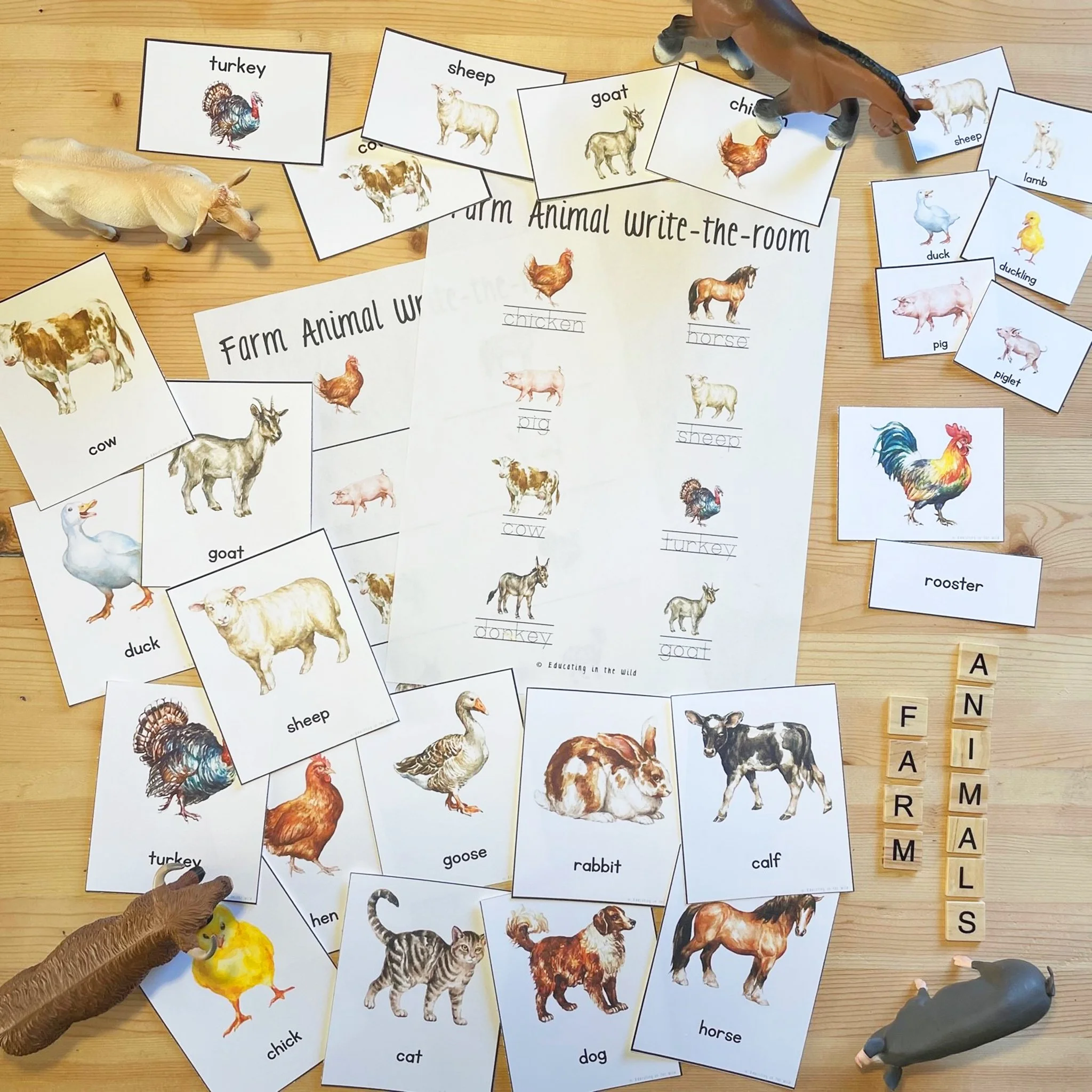 Animals.jpg
