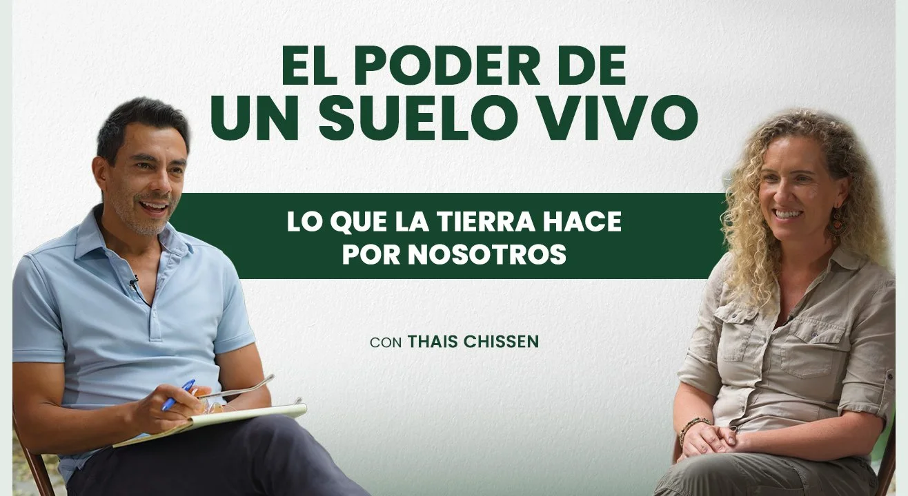 CAP 2 THAIS CHIESSEN.jpg