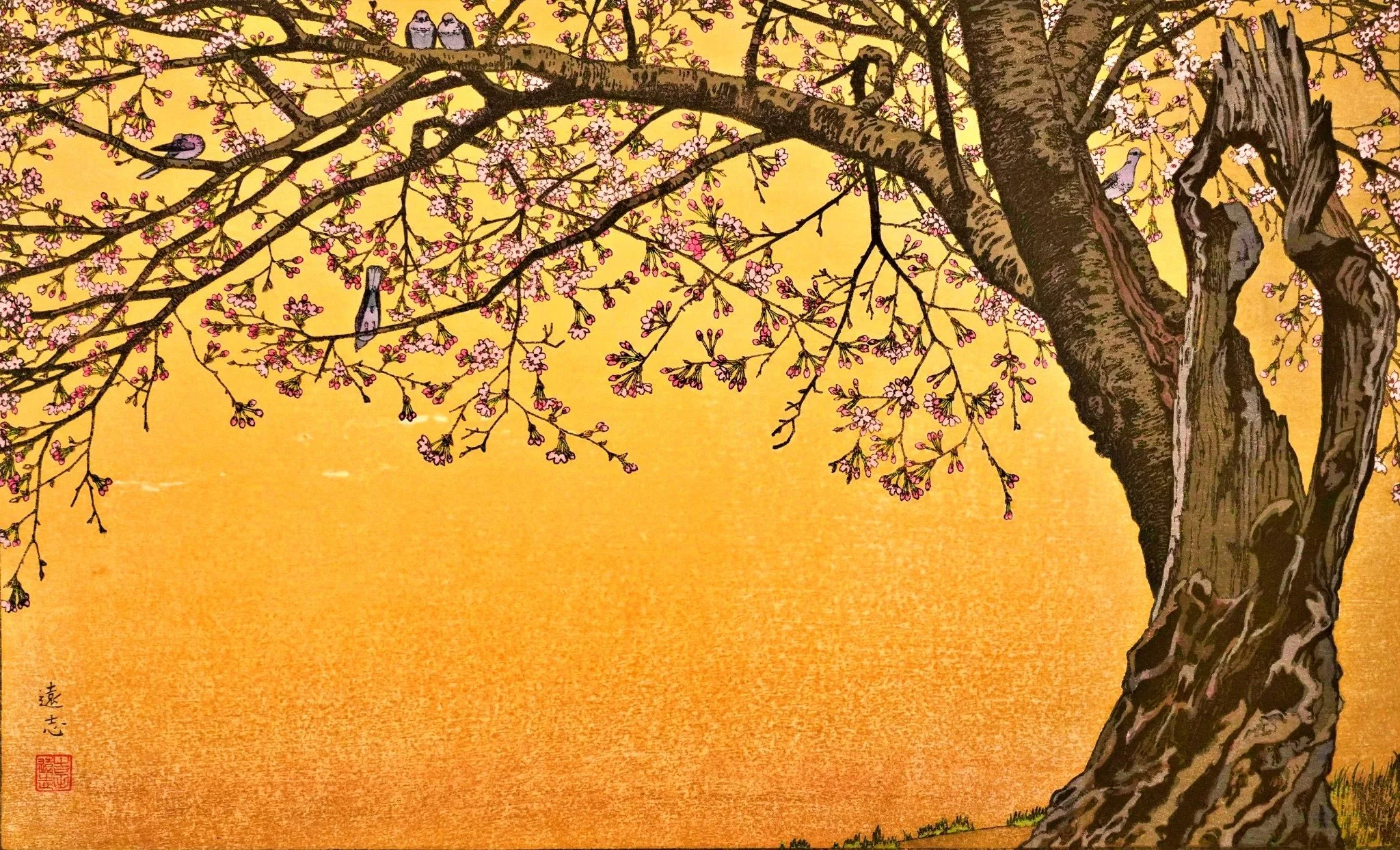 Cherry Blossoms — Toshi Yoshida (1970)