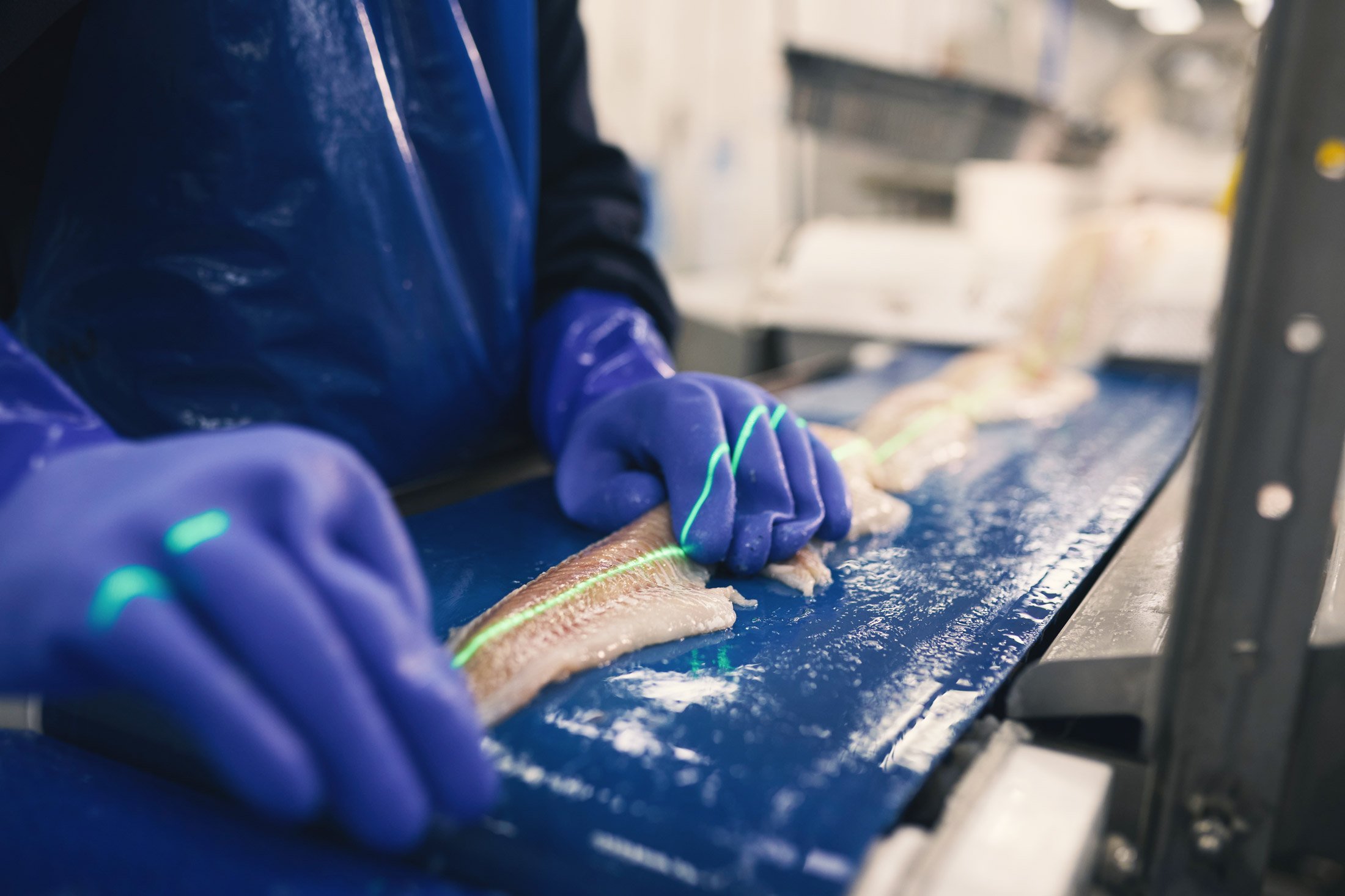 Icewater Seafoods Earns World-Class Food Safety Certification Ahead of Cod Season