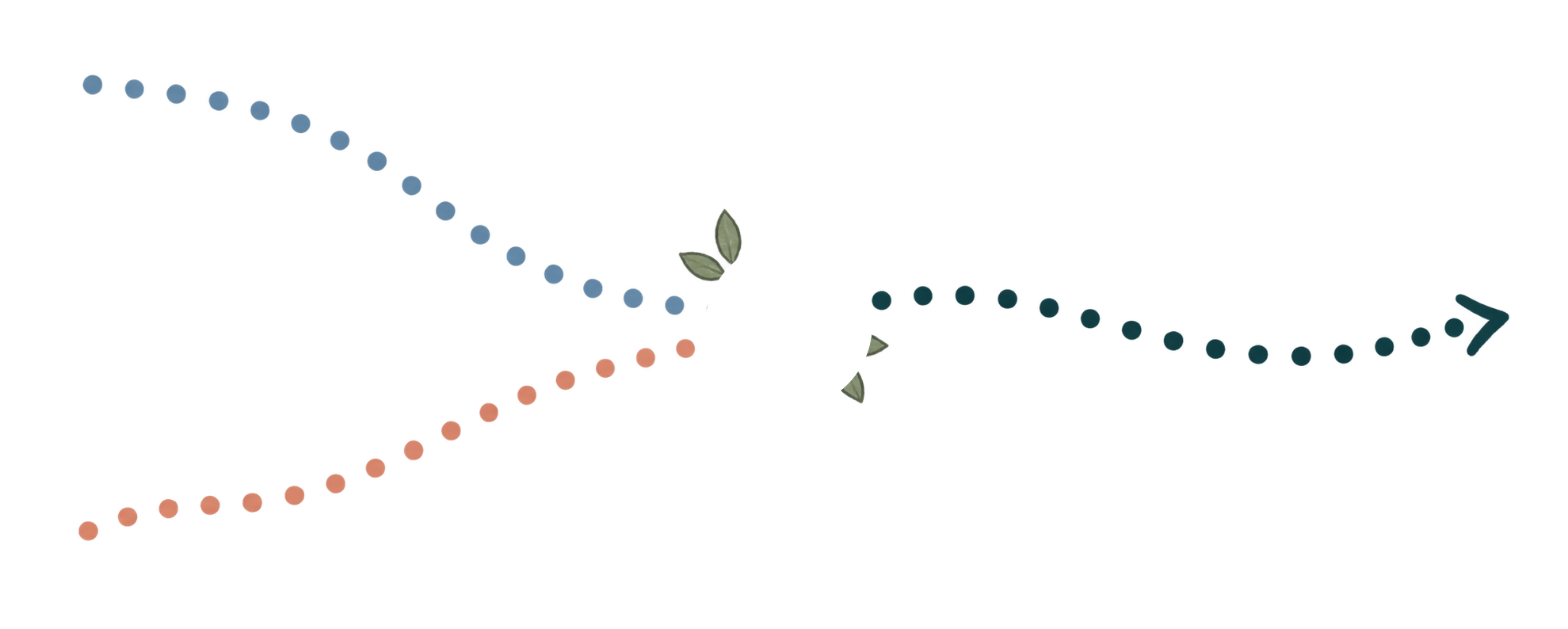 A 3D model showing the electron energy levels in a hydrogen atom, depicting electron shells, transition rays, and energy absorption and emission processes with color-coded arrows and annotations.