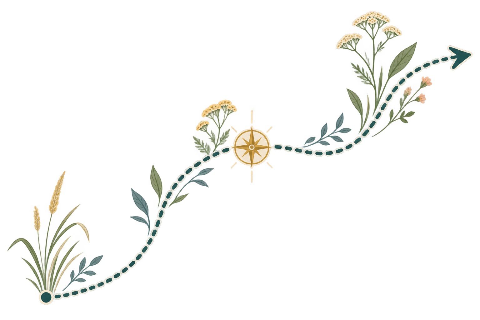 A stylized infographic illustrating a journey up a mountain, marked by a dotted path. The path begins at the bottom with wheat and plant illustrations, ascends past a compass rose, and continues through stages depicted with various plants and flowers, reaching the top with a large flower cluster. Additional flags mark milestones along the route.