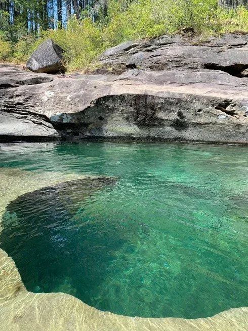Clear green water with large rocks and a hillside with green trees and bushes in the background.