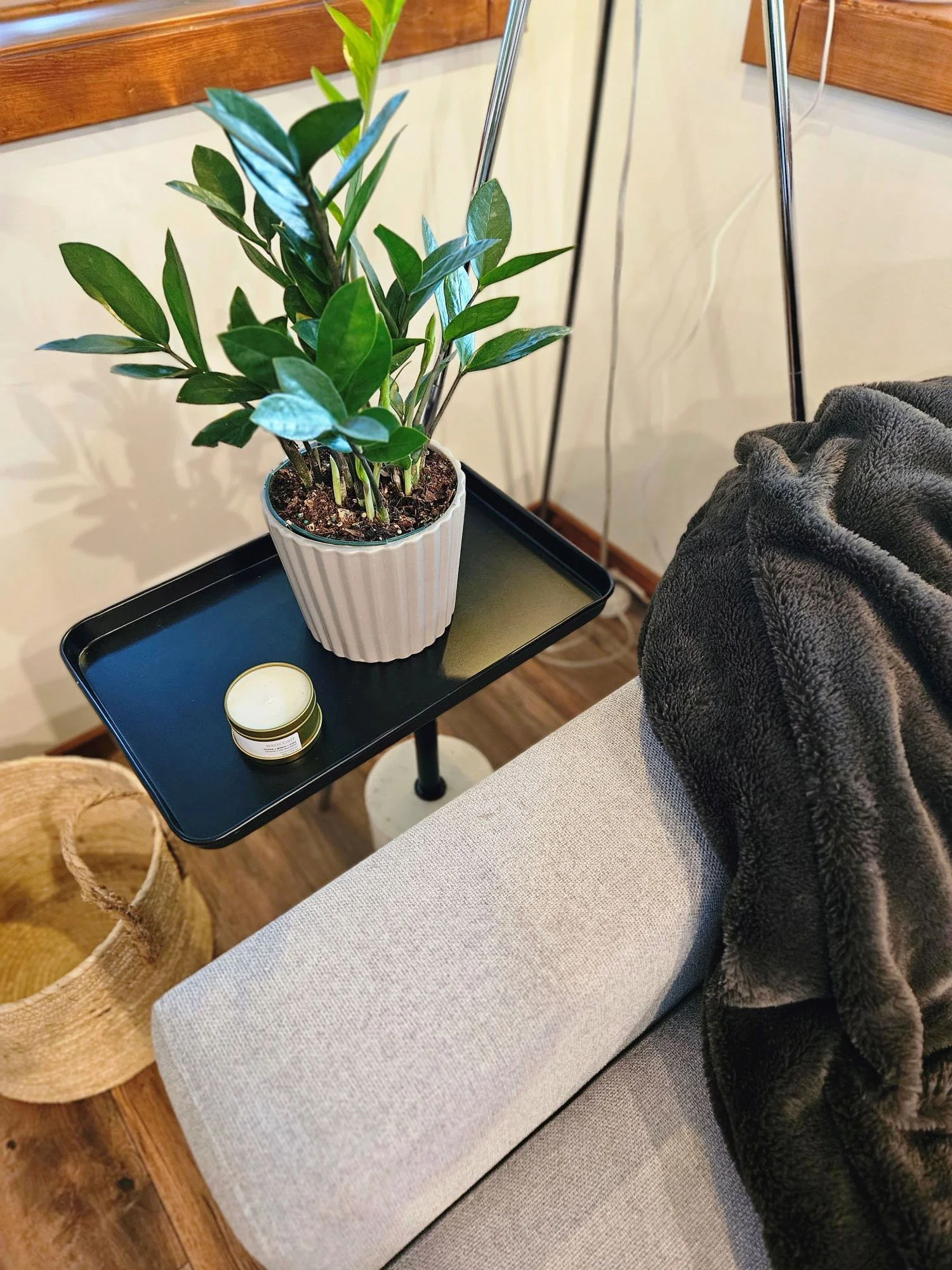 Sofa plant candle blanket