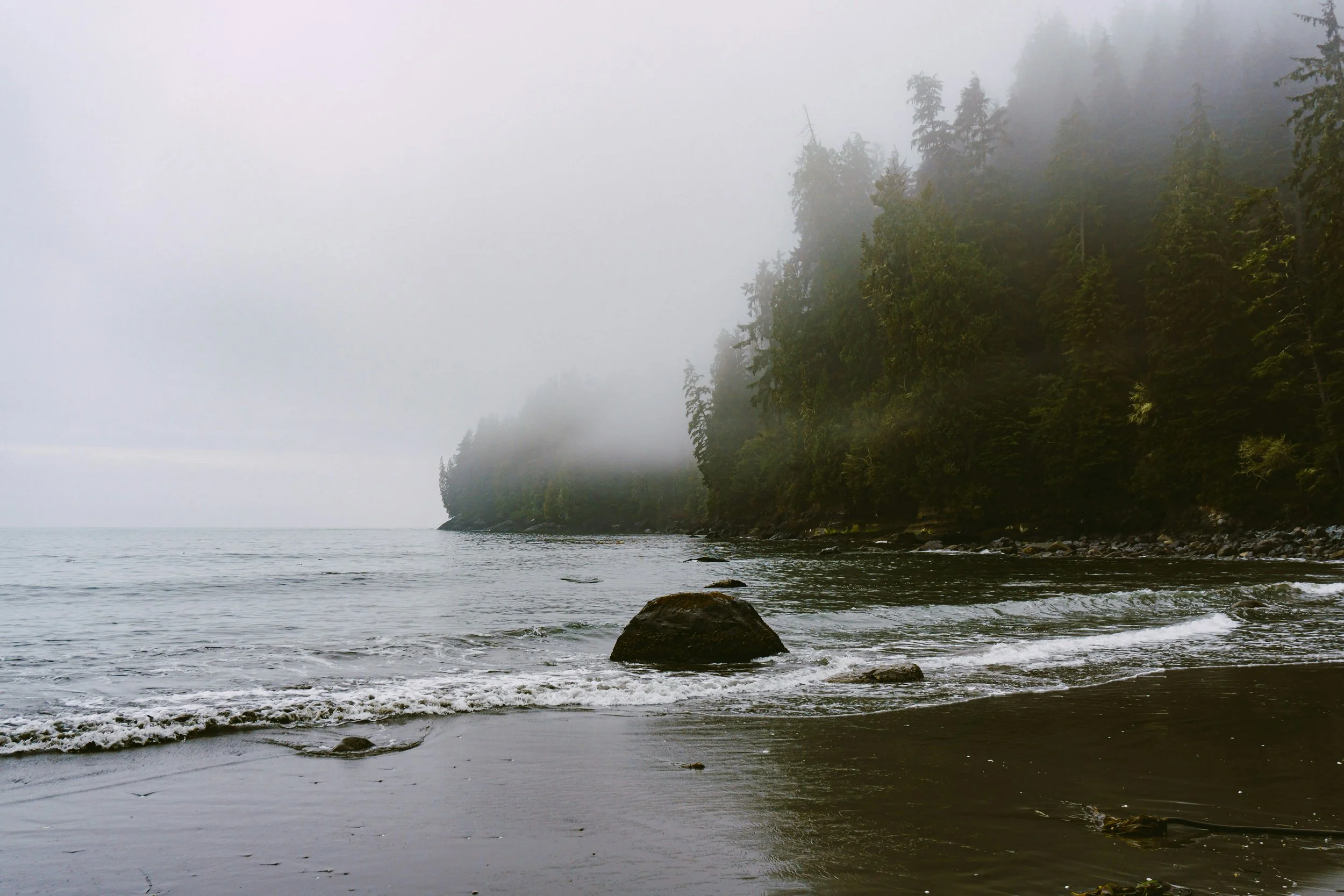 A foggy shoreline with tall evergreen trees on a cliff and rocks in the water.