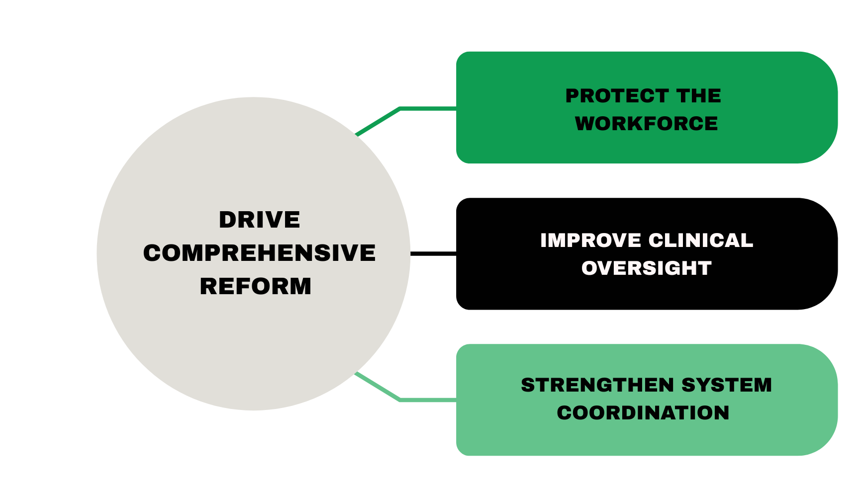 A flowchart titled 'Drive Comprehensive Reform' with three arrows pointing to different objectives: 'Protect the Workforce' in green, 'Improve Clinical Oversight' in black, and 'Strengthen System Coordination' in light green.