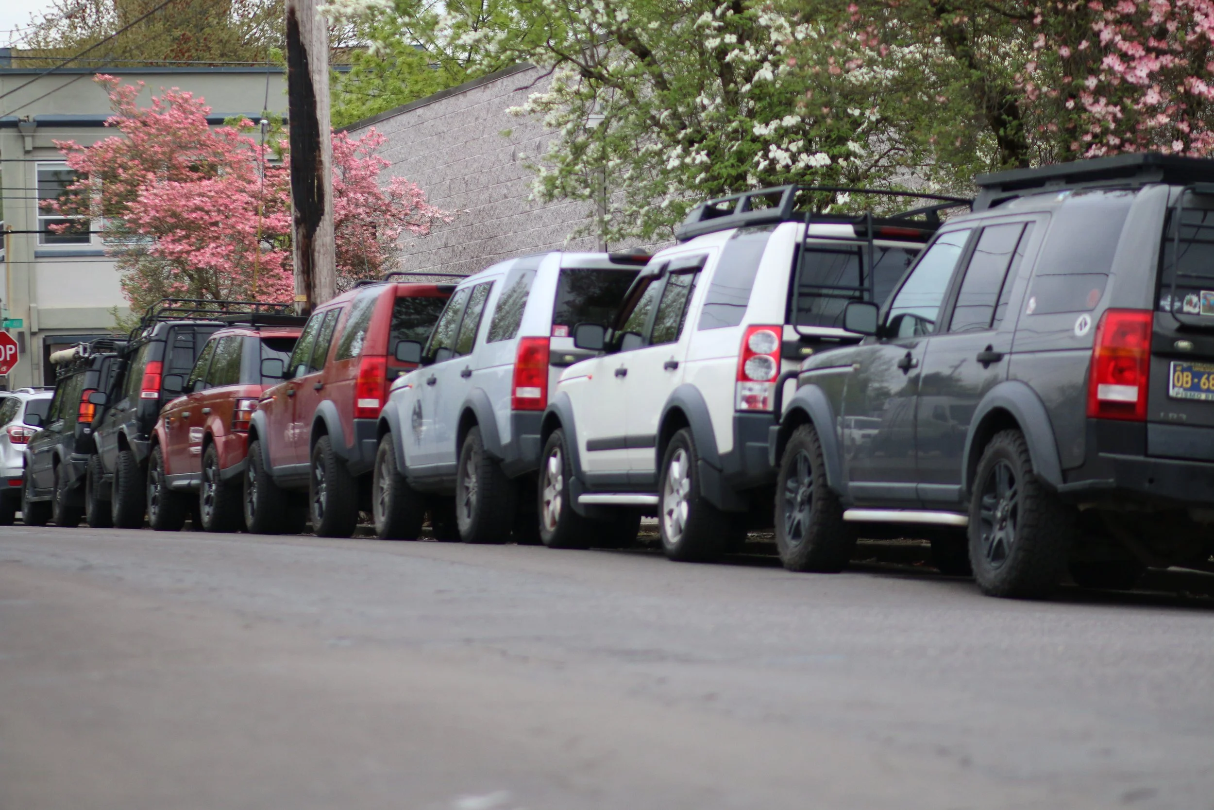 A row of Land Rover SUVs on a street with blooming pink and white trees in the background.