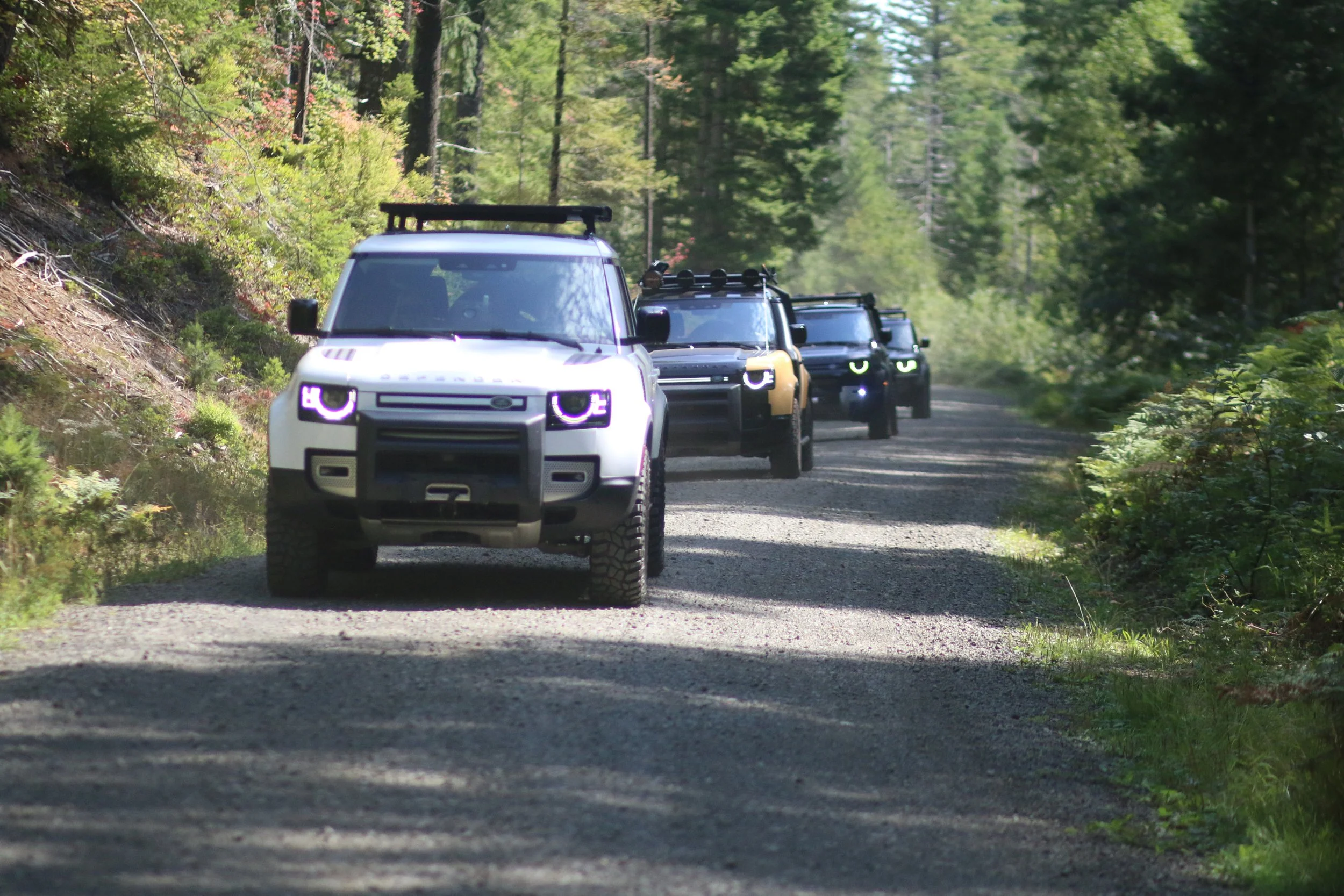A line of four Land Rover Defender SUVs driving on a gravel forest road surrounded by green trees and foliage.