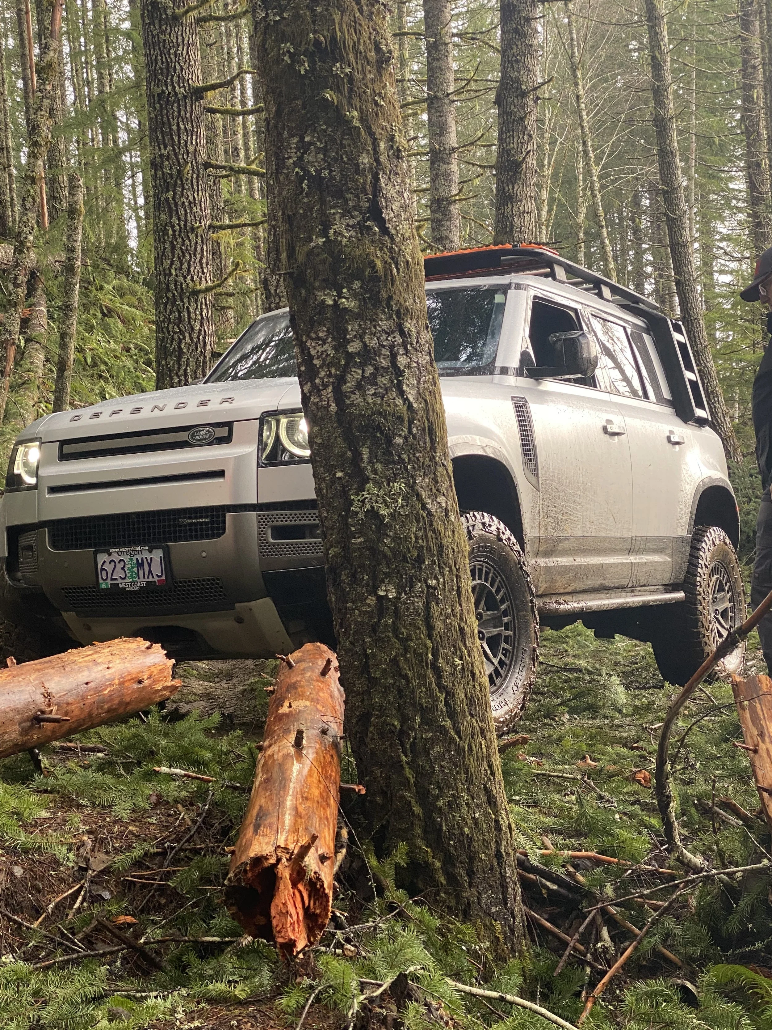 A silver Land Rover Defender off-road vehicle parked among tall trees in a dense forest, with fallen logs and green foliage in the foreground.