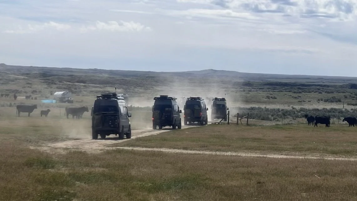 Four Mercedes-Benz Sprinter Vans driving on a dusty dirt road through a grassy open field with cattle grazing nearby, under a partly cloudy sky.