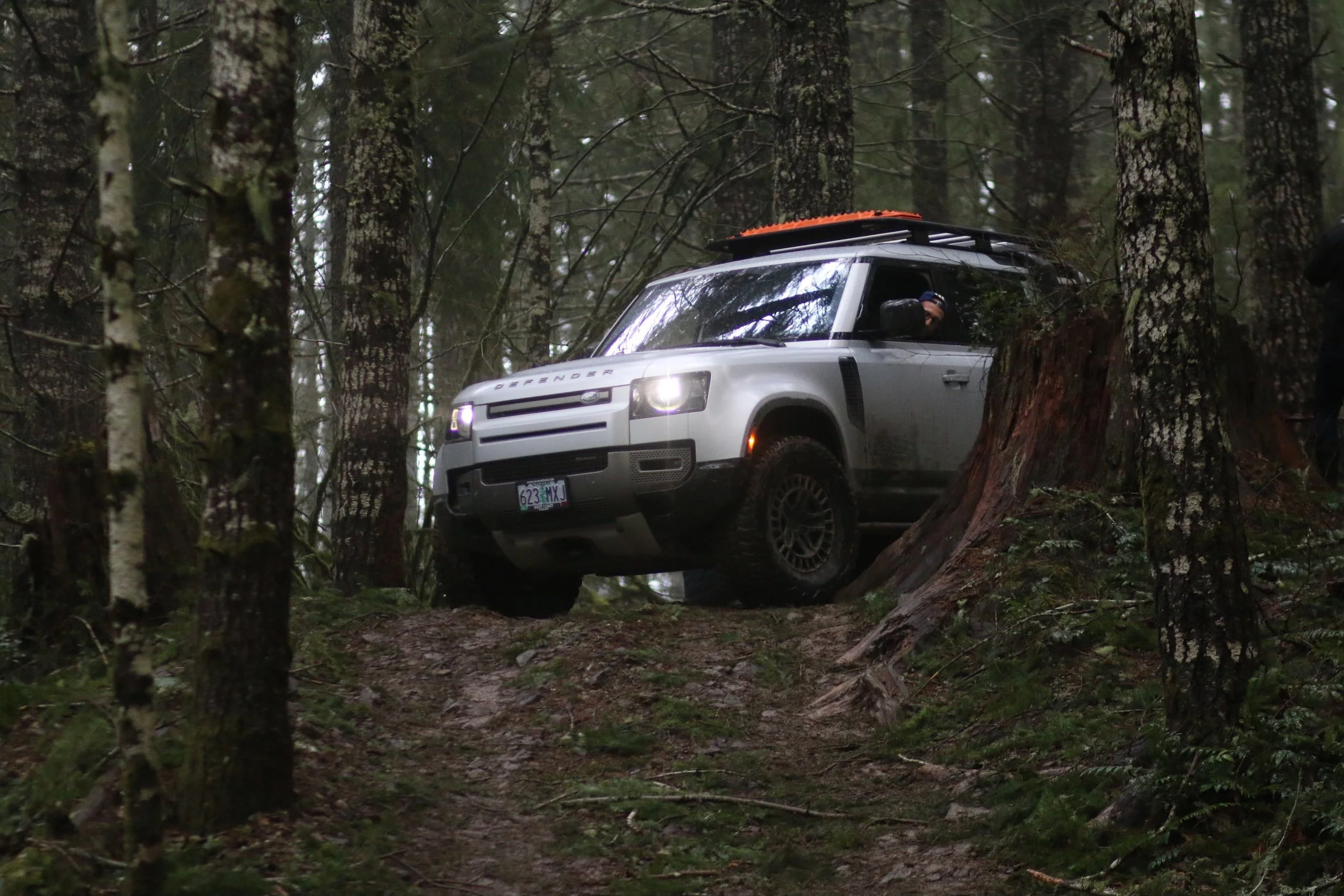 A silver Land Rover Defender off-road vehicle on a dirt path in a dense forest, surrounded by tall trees with green foliage and some moss-covered trunks.