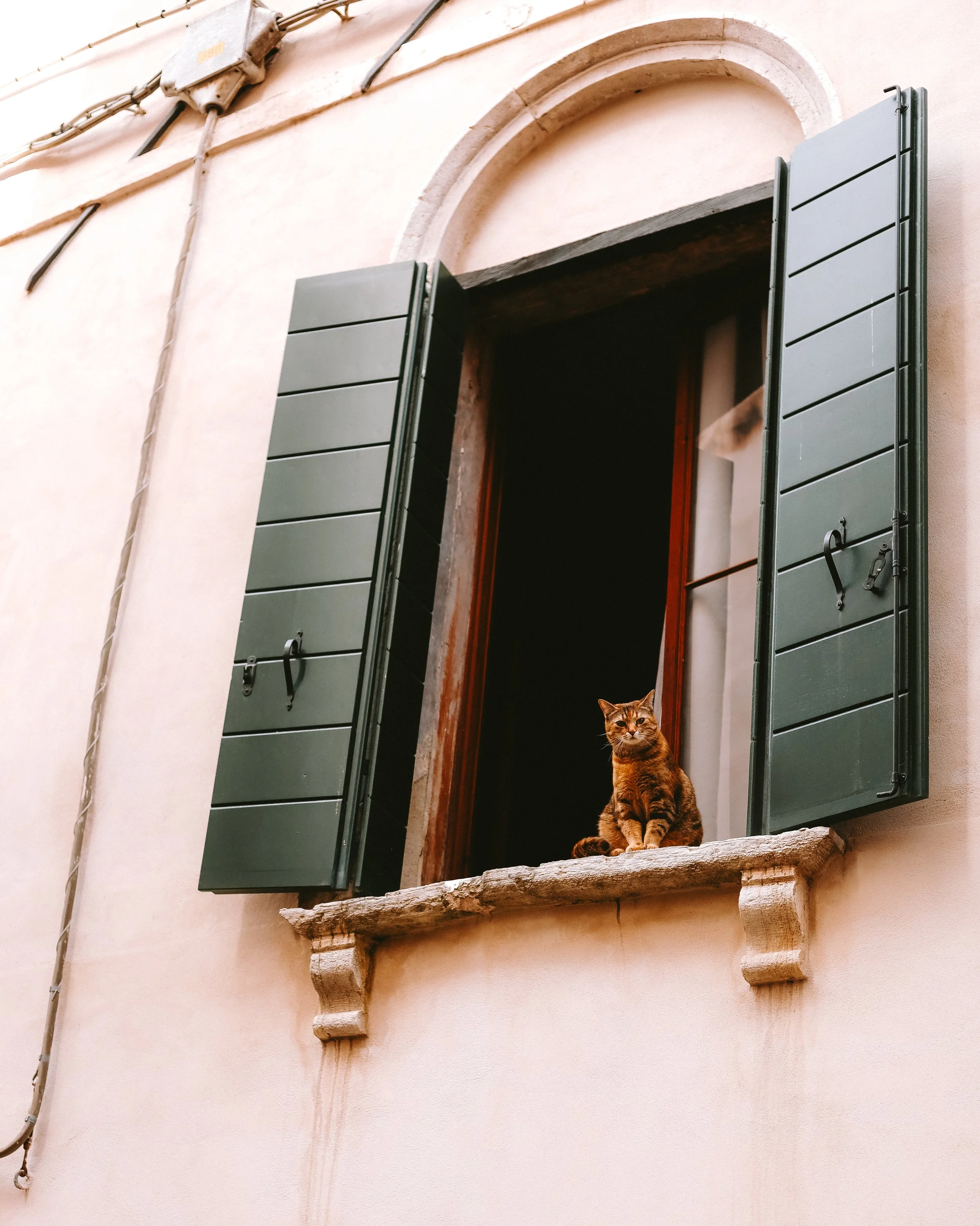 untitled-24.jpg