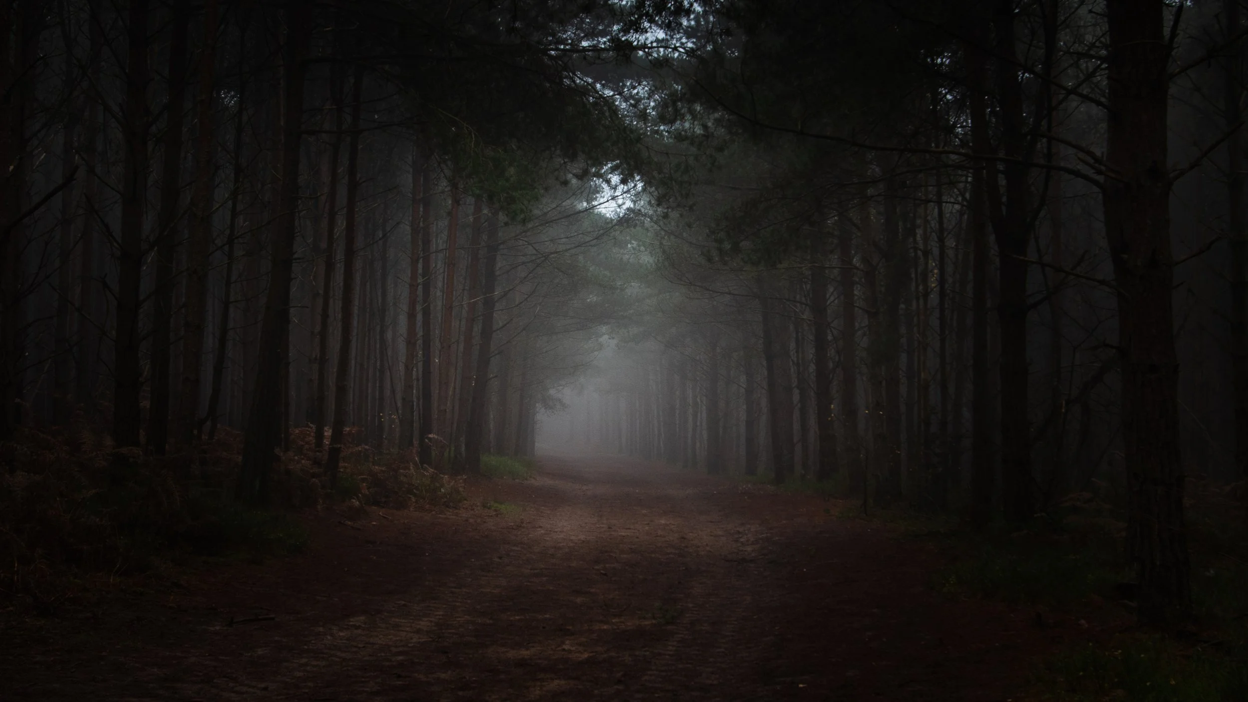 untitled-102.jpg
