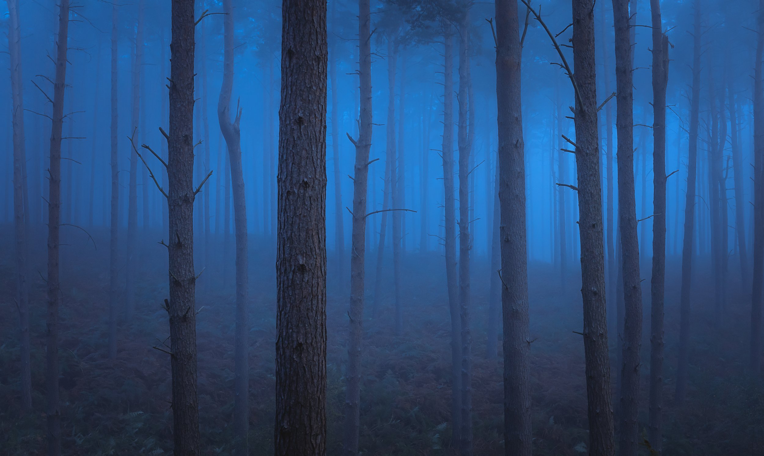 untitled-100.jpg