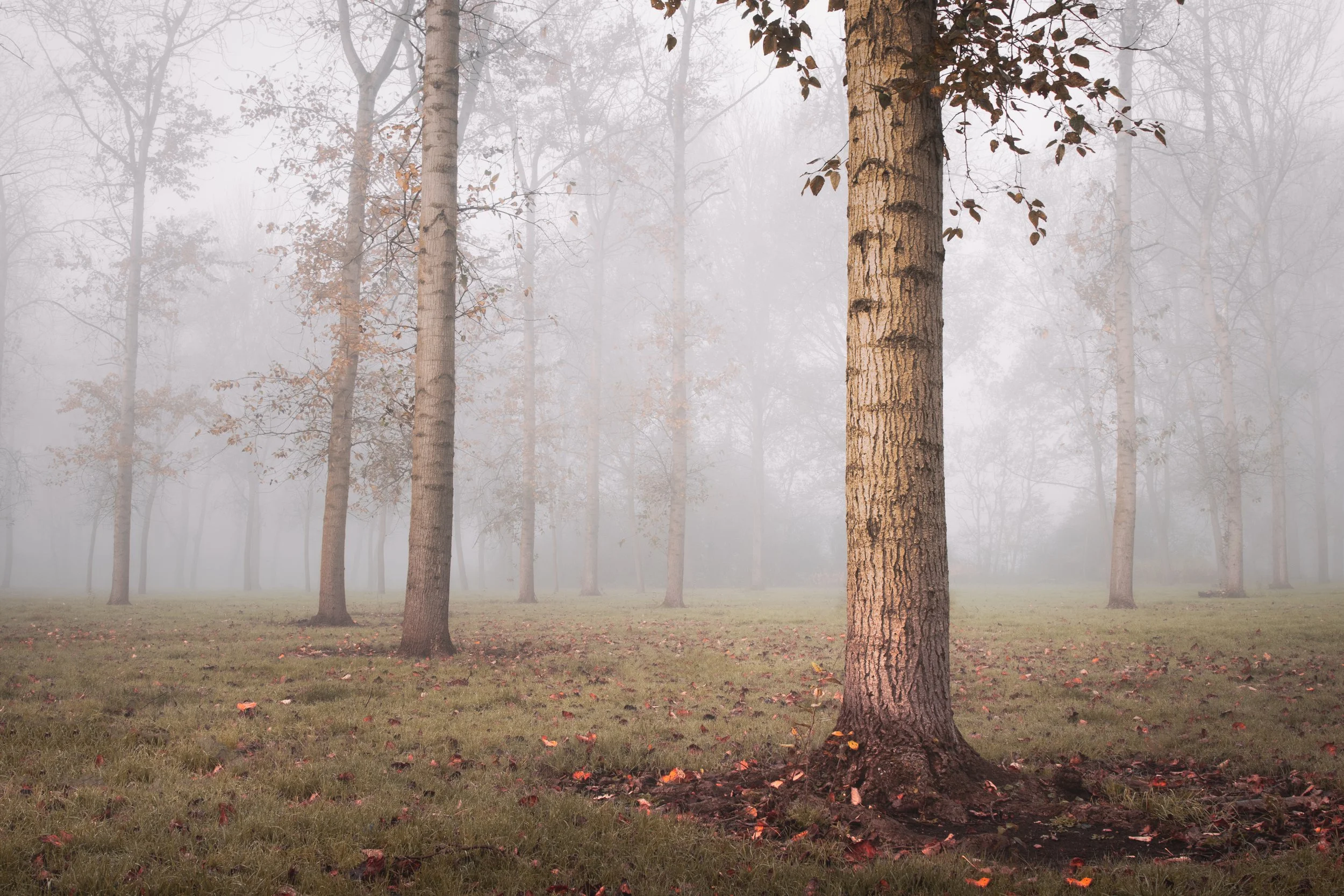 untitled-103.jpg