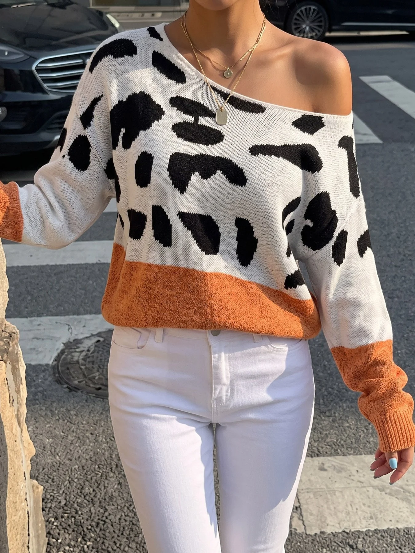HalenFullSizeOff-ShoulderColorblockAnimalPrintSweaterPlusSize1.jpg