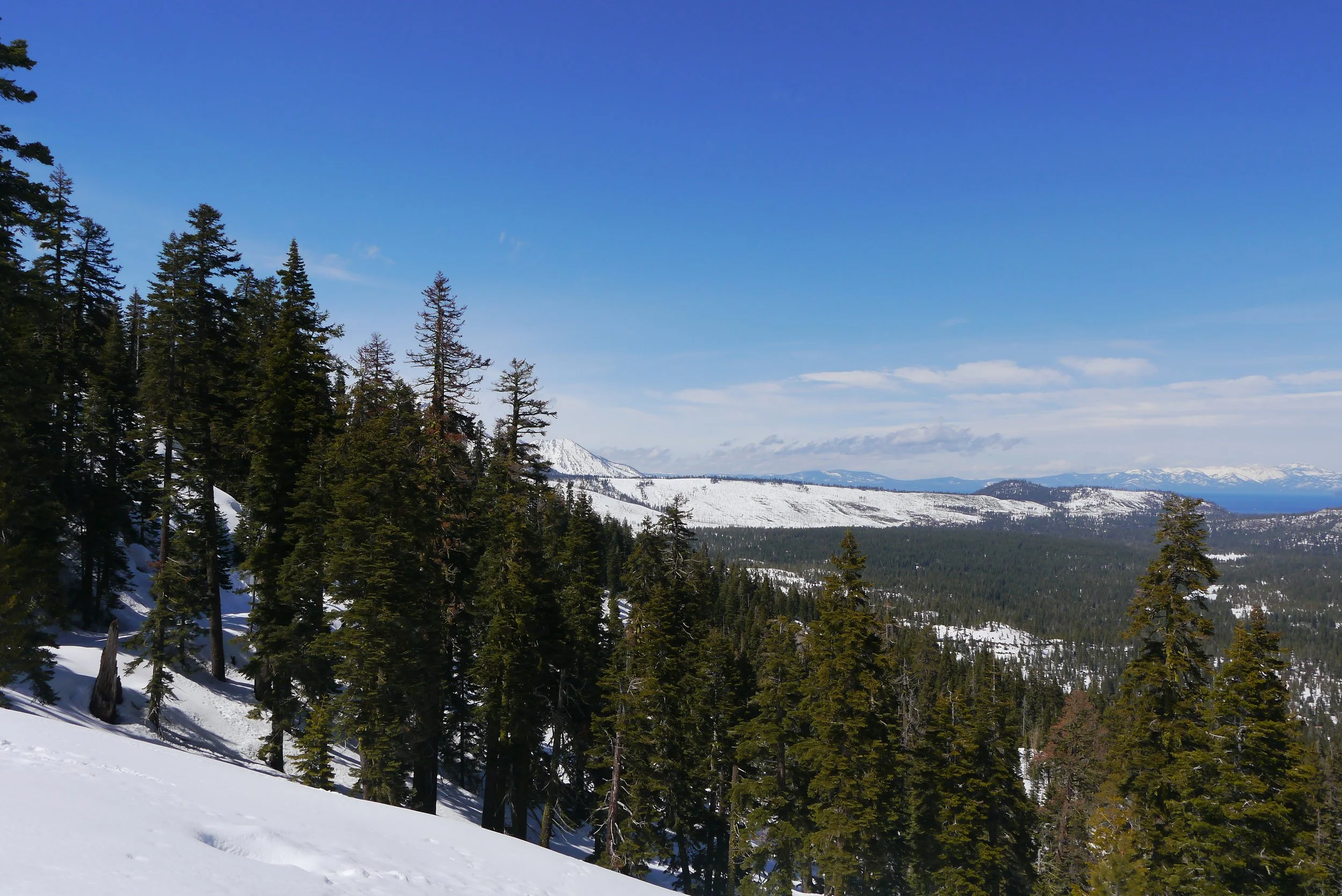 P1280215.jpeg