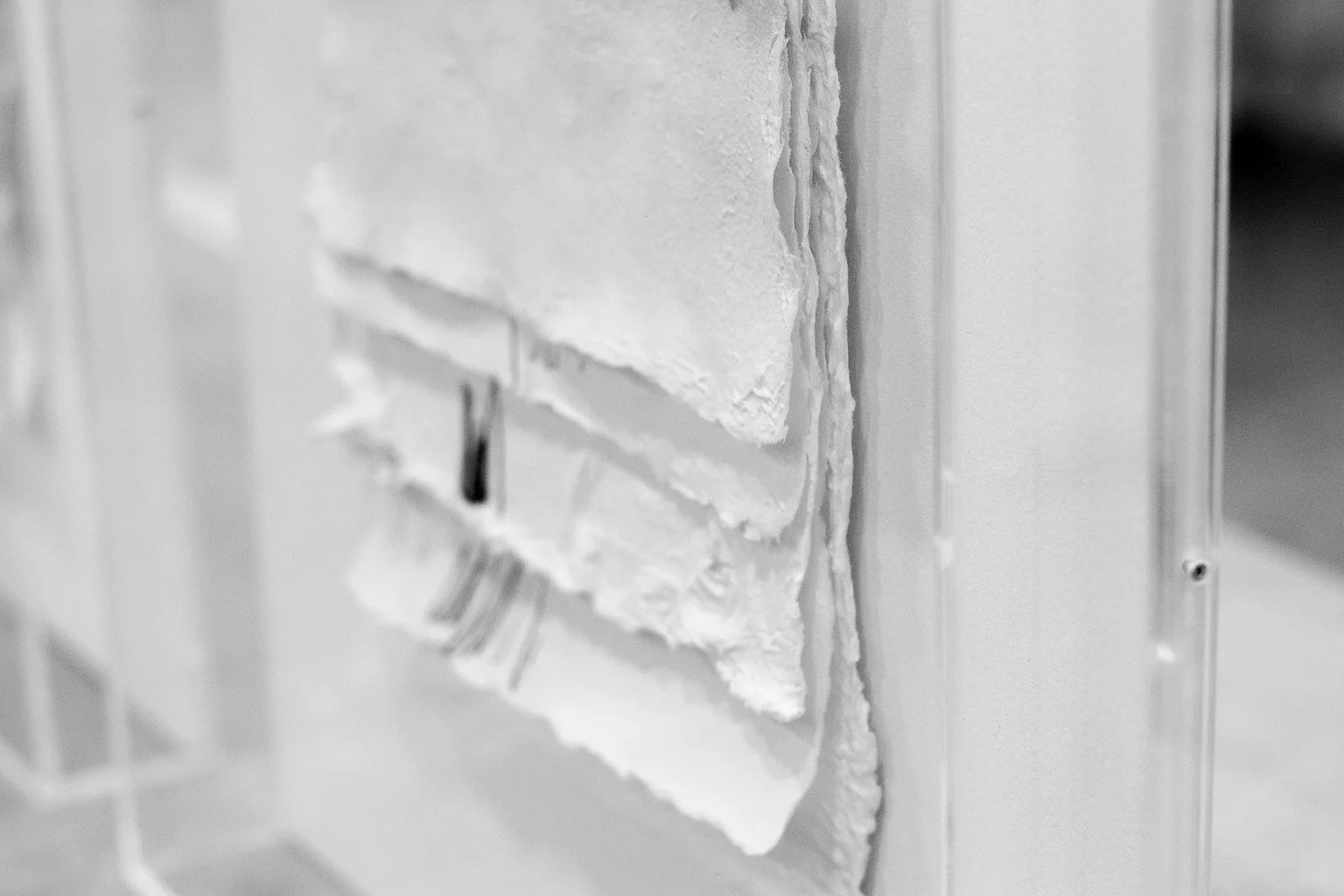 detalhe2.jpg