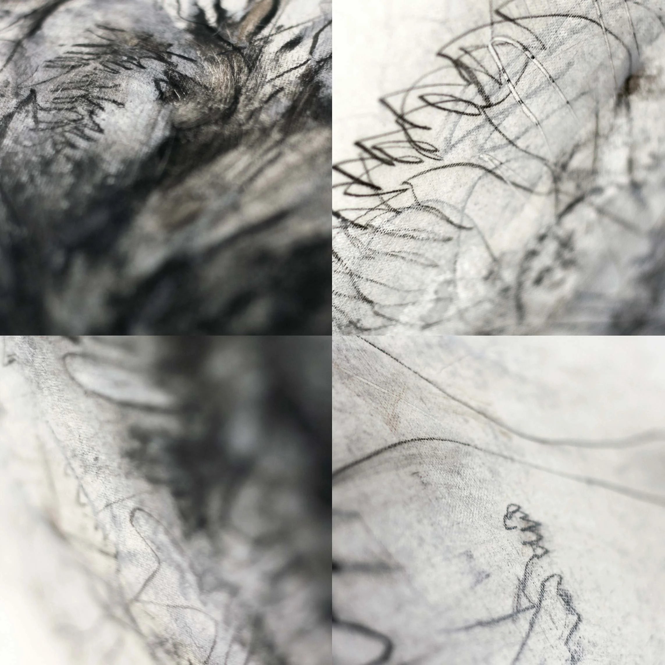 Da Dança V (detalhes), 2024. Carvão, tinta a óleo e massa acrílica sobre tela, 110 × 110 cm
